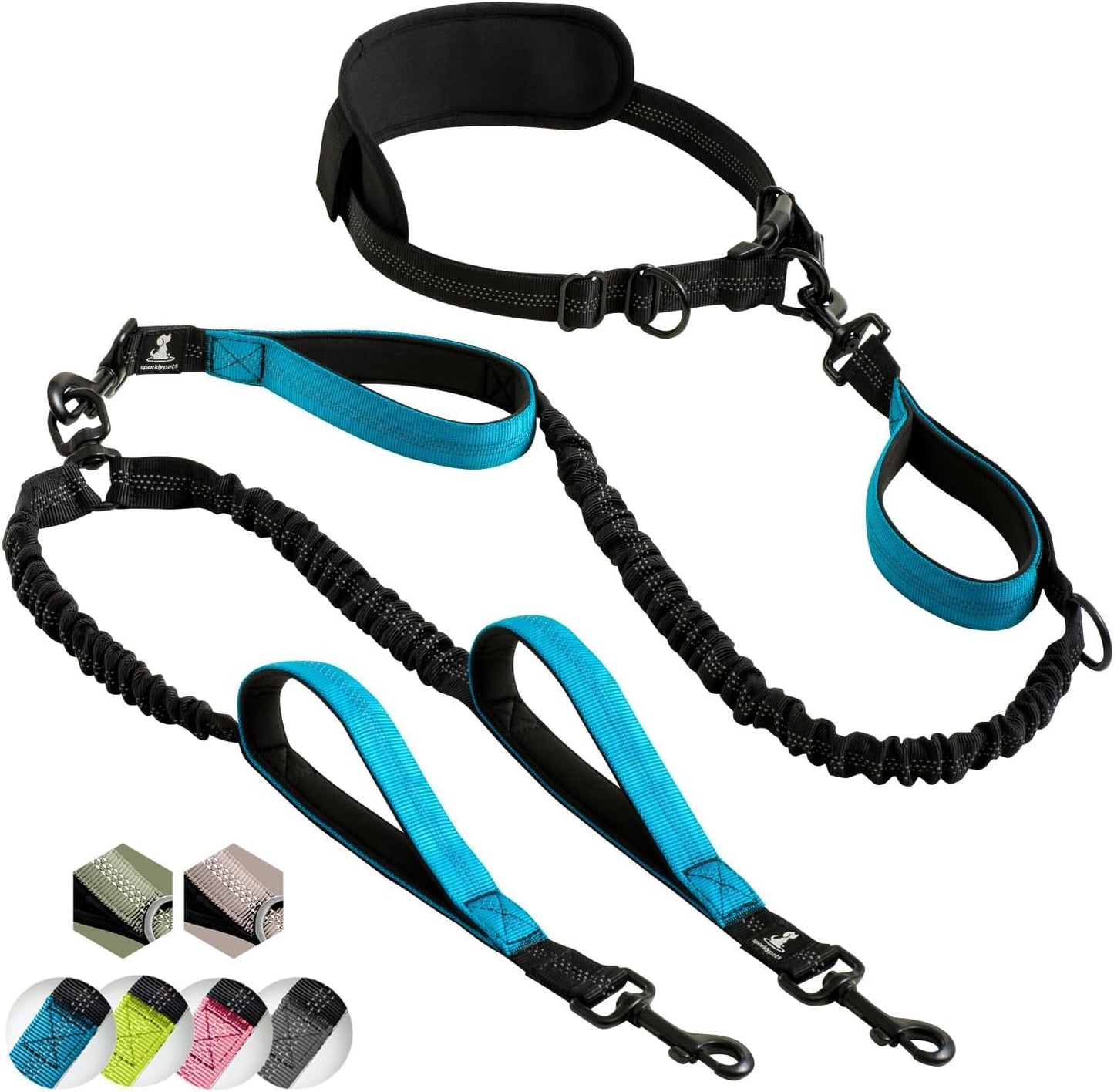 Reflective Dog Leash for Training & Outdoor Activities