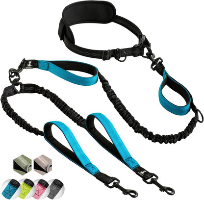 Reflective Dog Leash for Training & Outdoor Activities