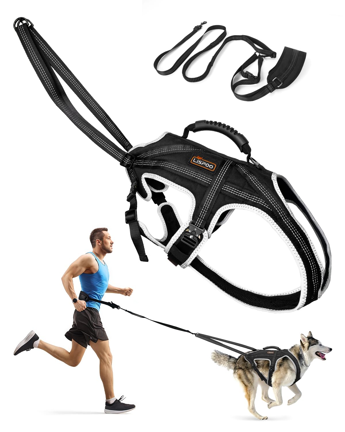 Dog Running Harness Set with Shock Absorbing Leash