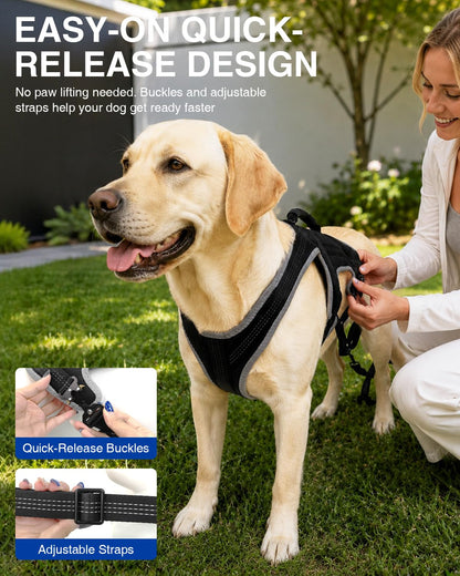 Dog Running Harness Set with Shock Absorbing Leash