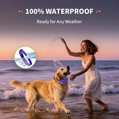 PetIsay Dog Light up Collar for Night Walking - High Visibility LED Dog Collar - Rechargeable - Waterproof - Reflective - Adjustable Lighted Glow Collars