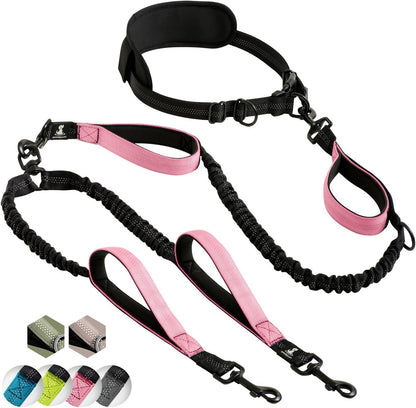 Reflective Dog Leash for Training & Outdoor Activities