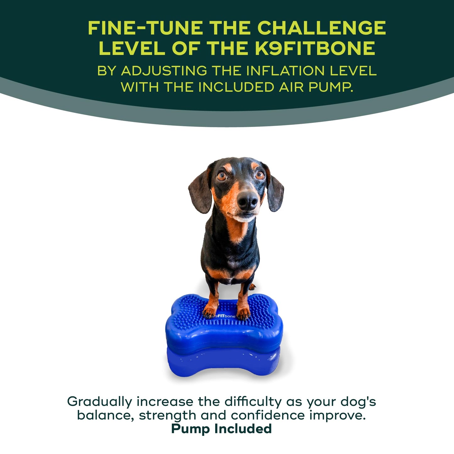 FitPaws® Mini K9FITbone® Dog Balance Platform, Core Stability Tool, 2-Pack