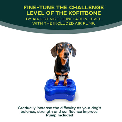 FitPaws® Mini K9FITbone® Dog Balance Platform, Core Stability Tool, 2-Pack