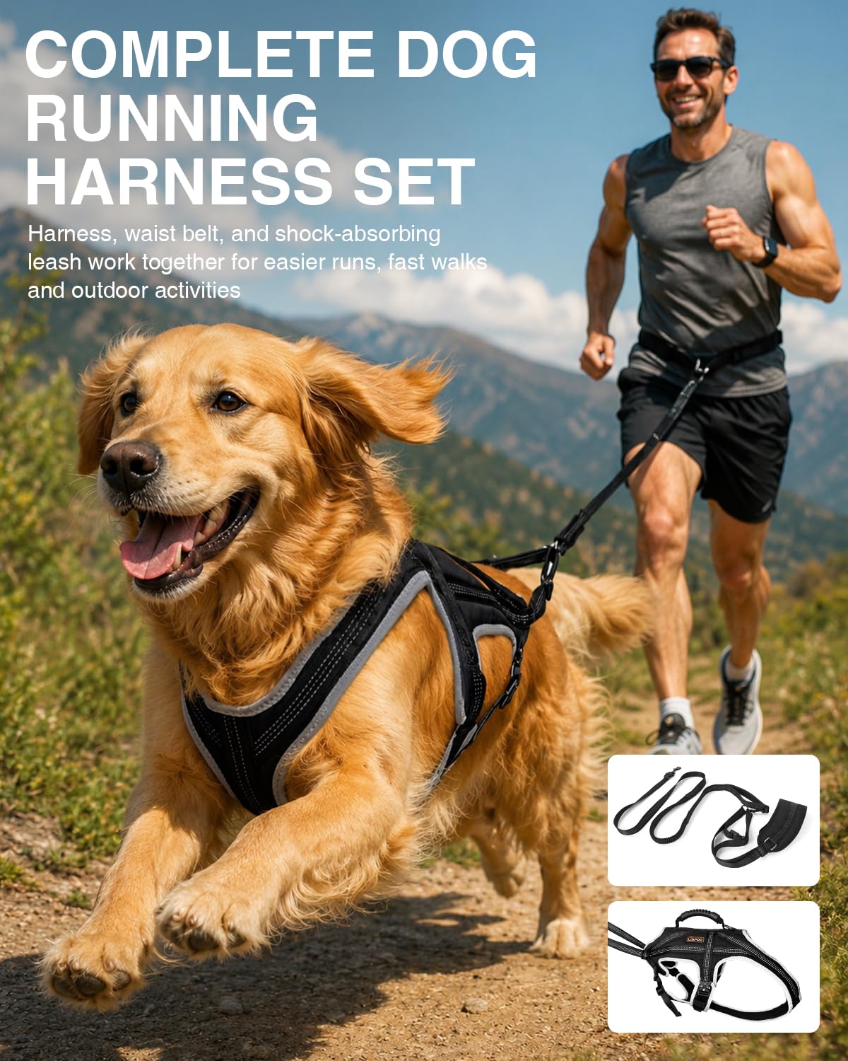 Dog Running Harness Set with Shock Absorbing Leash