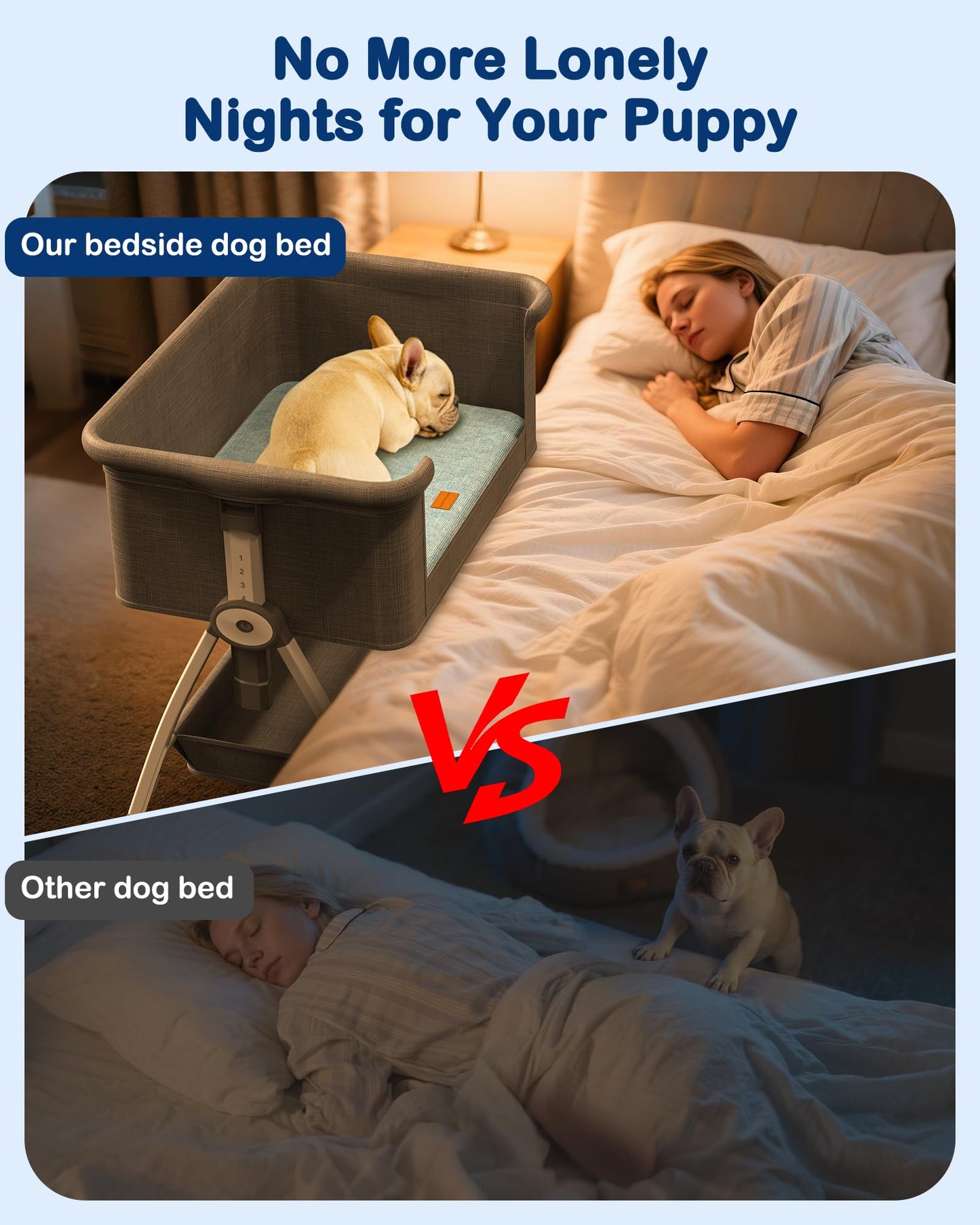 Adjustable Elevated Dog Bed for Small & Medium Dogs