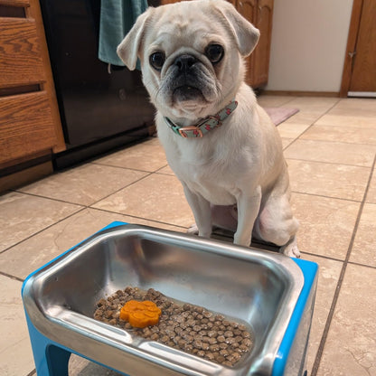 Fluff Trough 7.25 Inch Tall Elevated Bowls for Medium & Small Dogs - Stainless Steel Raised Set With Stand Holds 2 Cups of Pet Food - Vet Recommended No Spill Feeder Station