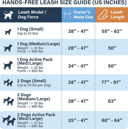 Reflective Dog Leash for Training & Outdoor Activities