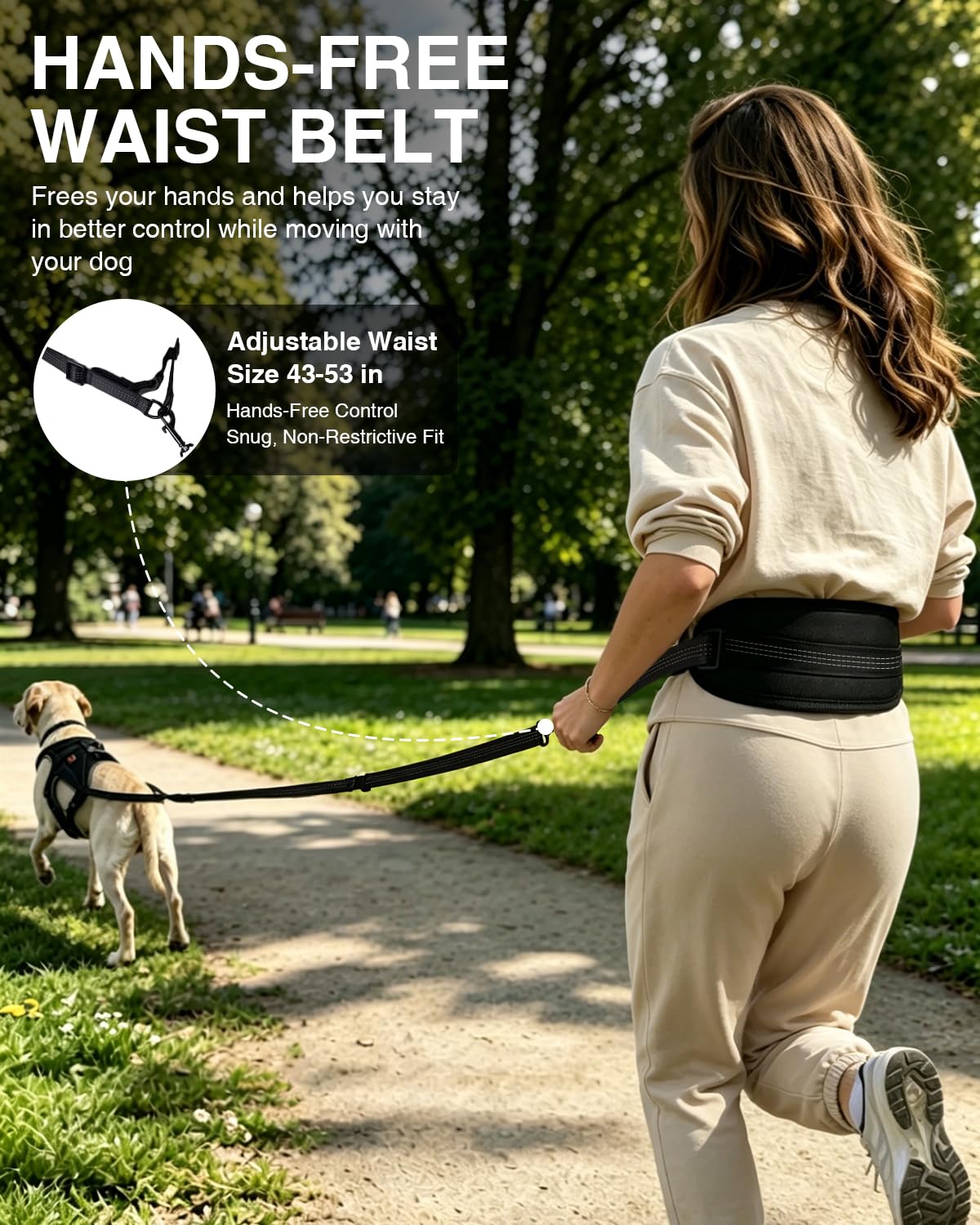 Dog Running Harness Set with Shock Absorbing Leash
