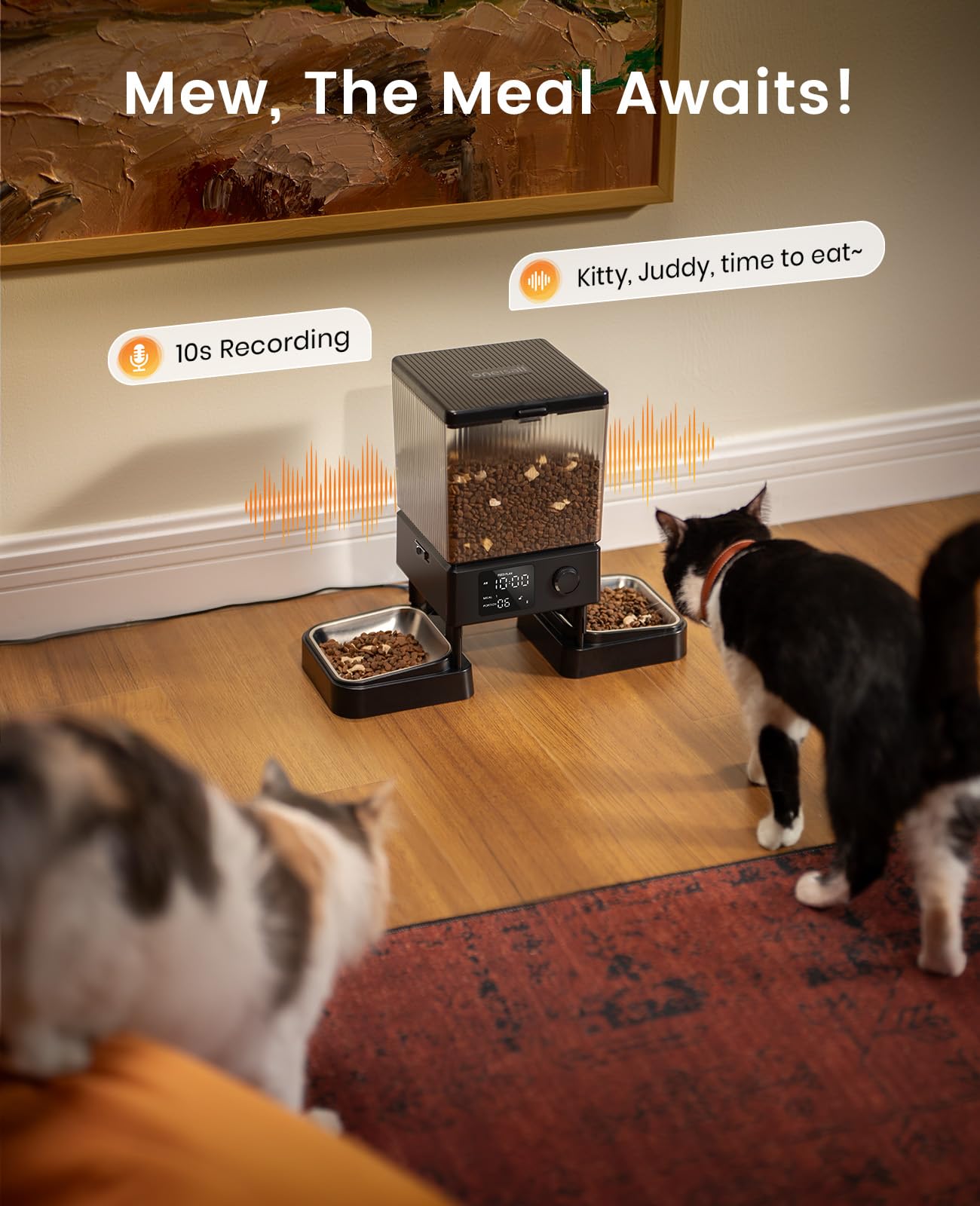 oneisall Automatic Cat Feeder for 2 Cats, Automatic Cat Food Dispenser for 2 Cats Small Pets, 20 Cups/5L