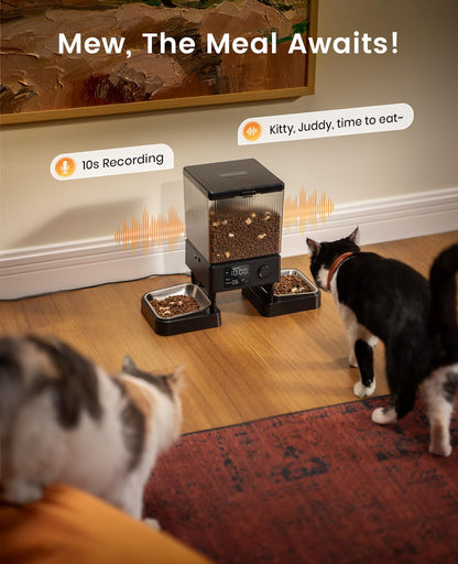 oneisall Automatic Cat Feeder for 2 Cats, Automatic Cat Food Dispenser for 2 Cats Small Pets, 20 Cups/5L