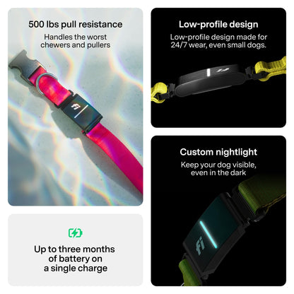 Fi Series 3+ Smart Dog Collar, GPS + Health Tracking, 6-Month Membership