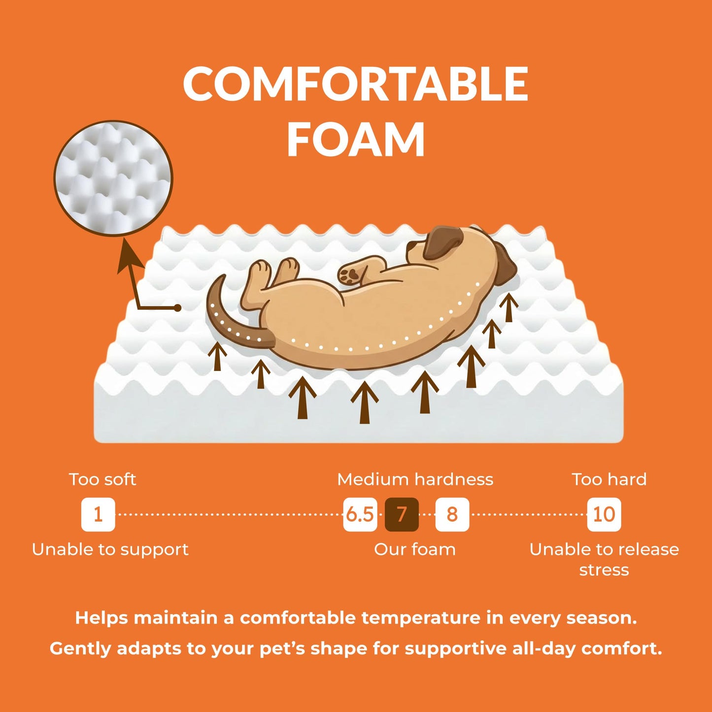Muihood Elevated Wood Dog Bed Frame with Foam Mattress