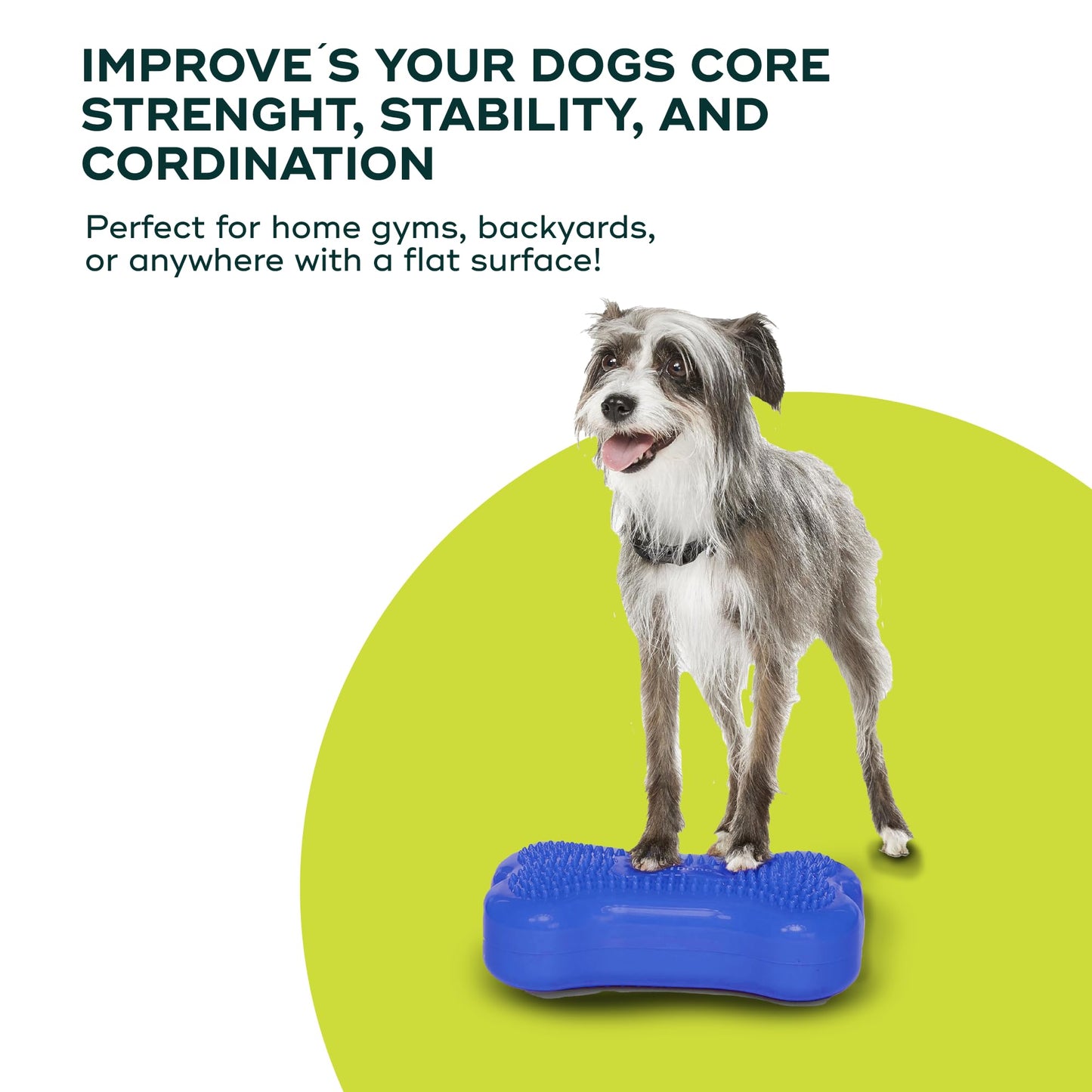 FitPaws® Mini K9FITbone® Dog Balance Platform, Core Stability Tool, 2-Pack