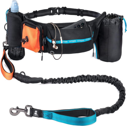 Reflective Dog Leash for Training & Outdoor Activities