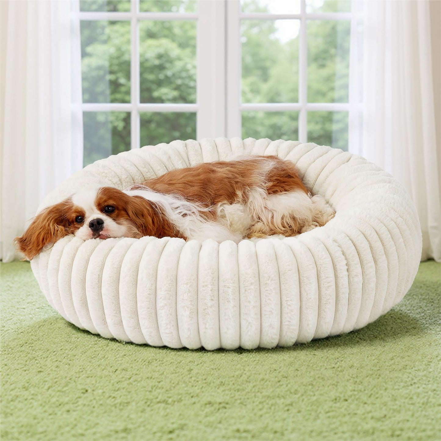 Donut Dog Bed with Removable Washable Cover