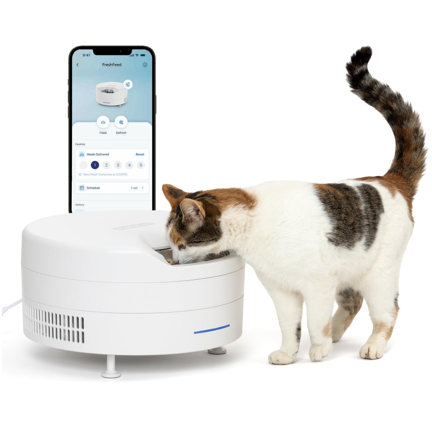 PetSafe FreshFeed Refrigerated Pet Feeder Automatic Wet Food Feeder for Cats & Small Dogs App Control 6 Fresh Meals Stainless Steel Inserts