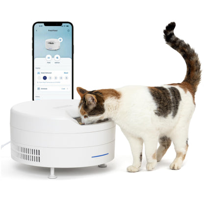 PetSafe FreshFeed Refrigerated Pet Feeder Automatic Wet Food Feeder for Cats & Small Dogs App Control 6 Fresh Meals Stainless Steel Inserts