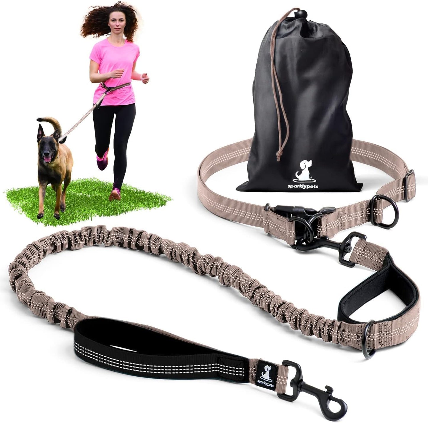 Reflective Dog Leash for Training & Outdoor Activities