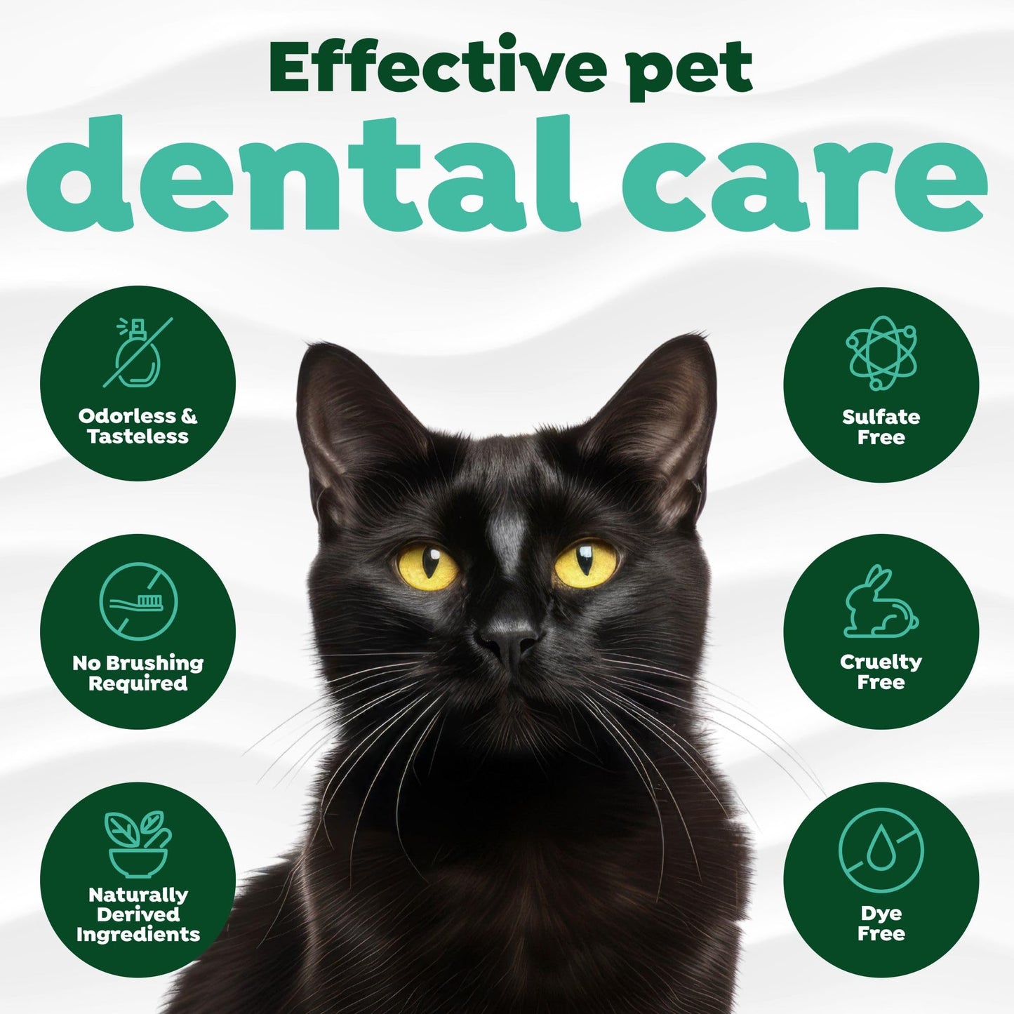 Dental Water Additive for Dogs & Cats