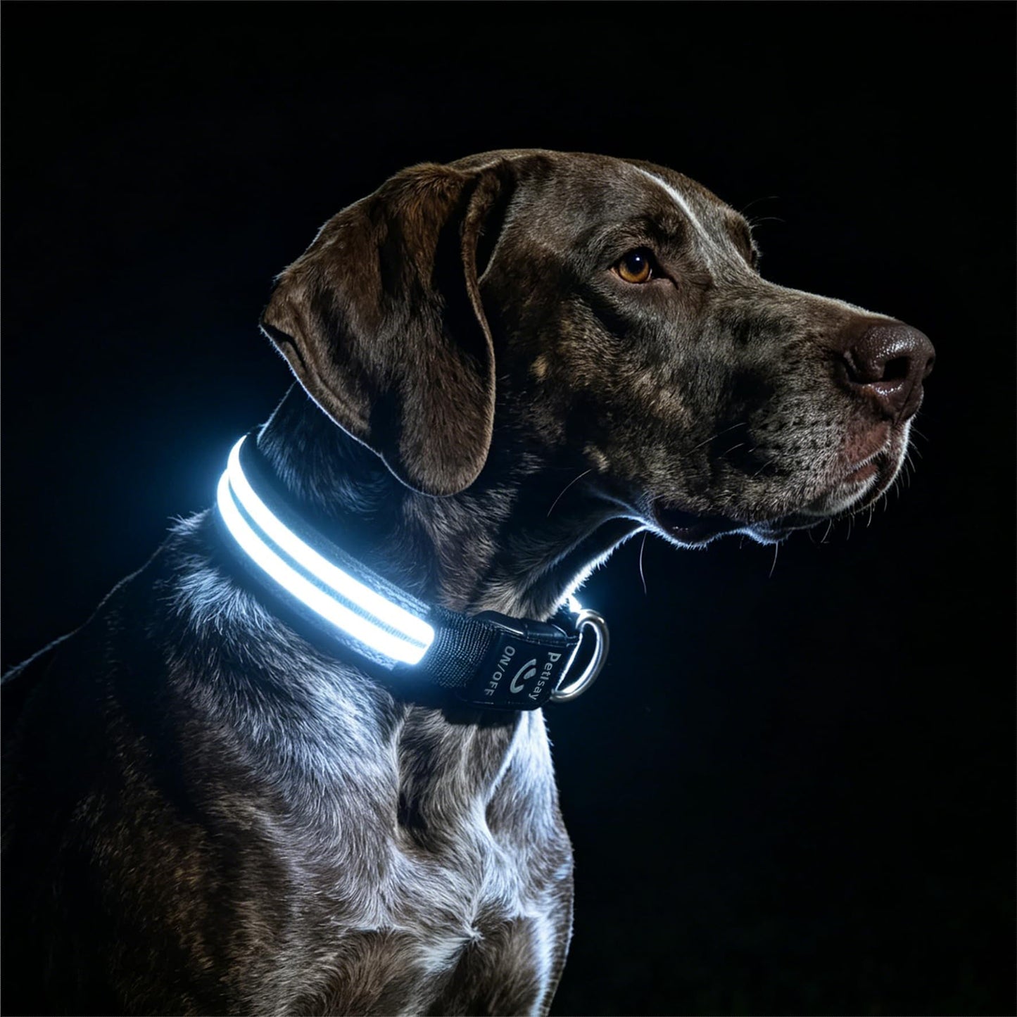 PetIsay Dog Light up Collar for Night Walking - High Visibility LED Dog Collar - Rechargeable - Waterproof - Reflective - Adjustable Lighted Glow Collars