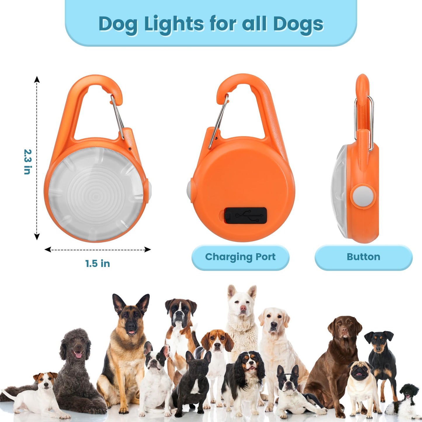 Dog Collar Lights for Night Walking