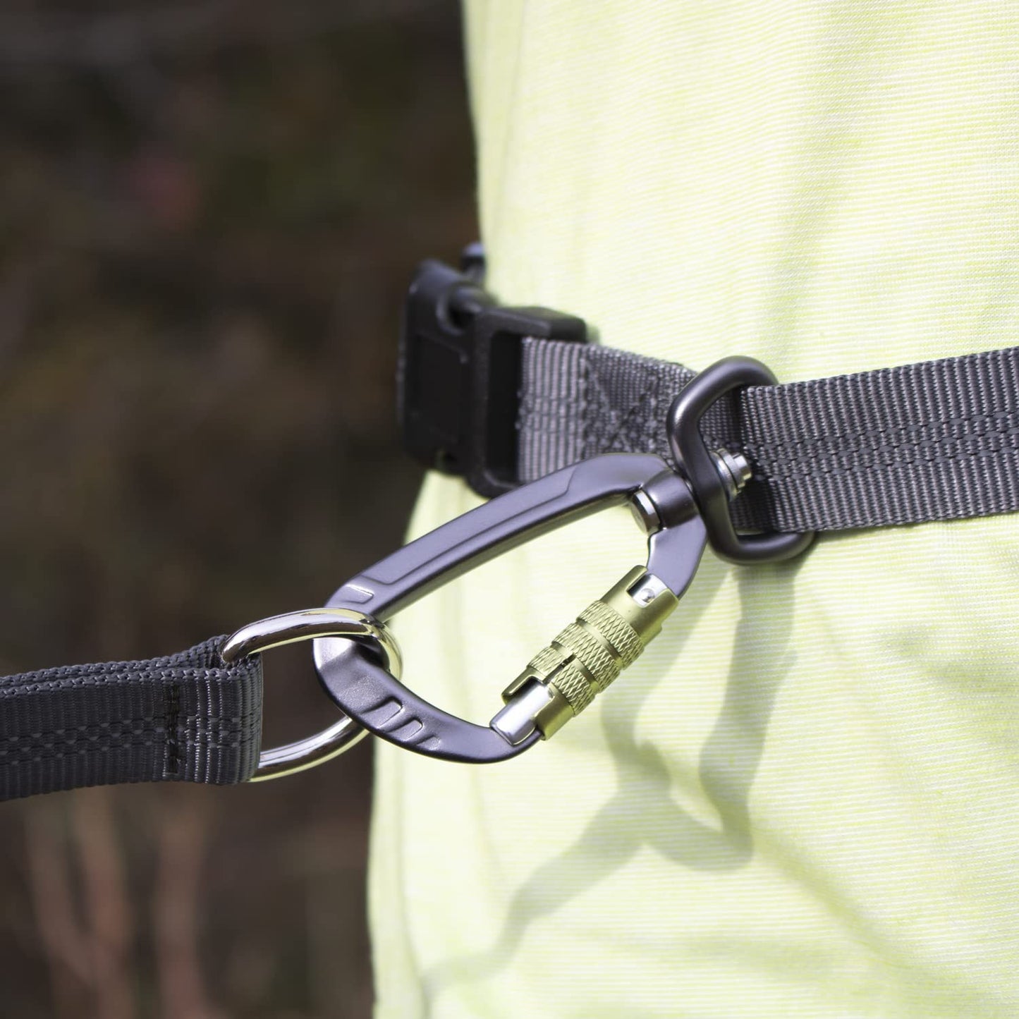Hands-Free Dog Leash Belt for Walking & Running