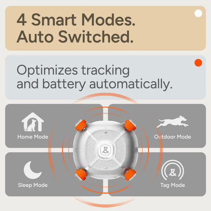 Molly&Cody Pet Tracker for Dogs