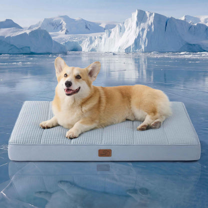 Washable Sherpa Dog Bed for Large Dogs