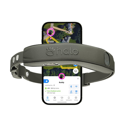 Halo Collar 5 GPS Wireless Dog Fence