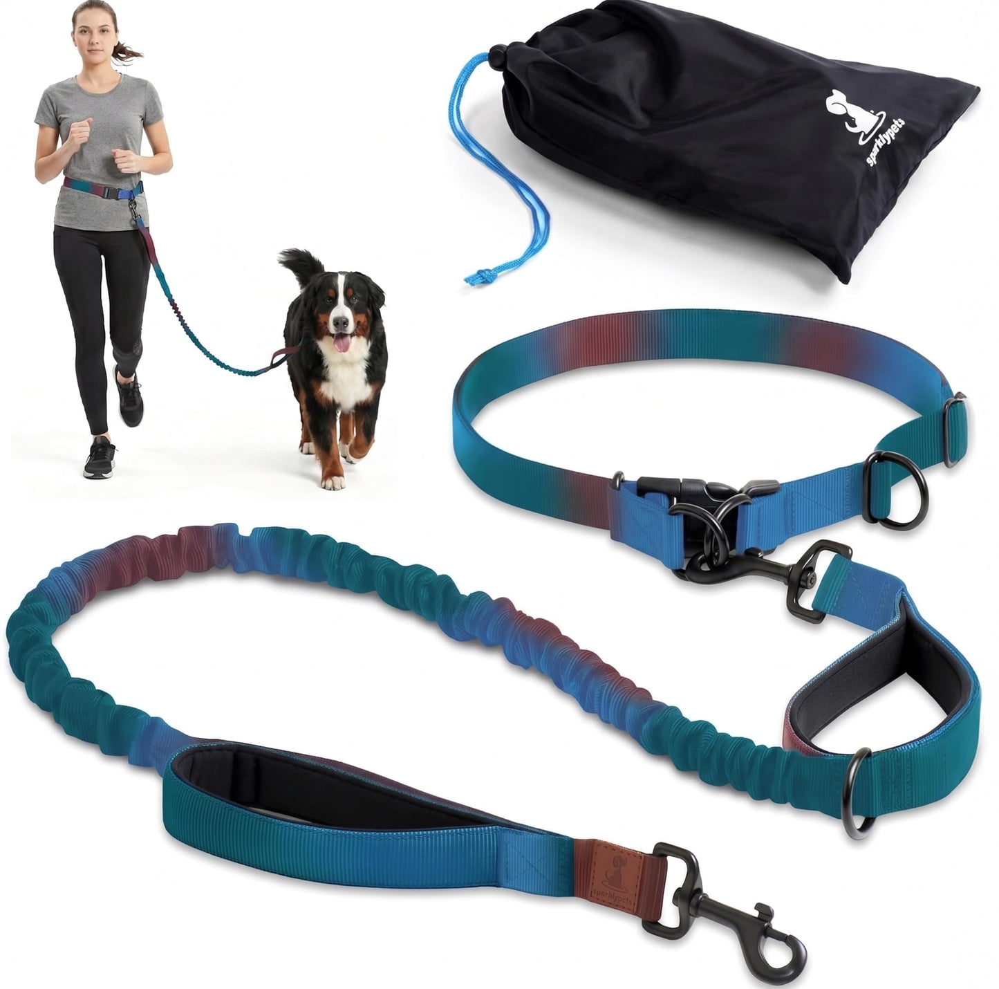 Reflective Dog Leash for Training & Outdoor Activities