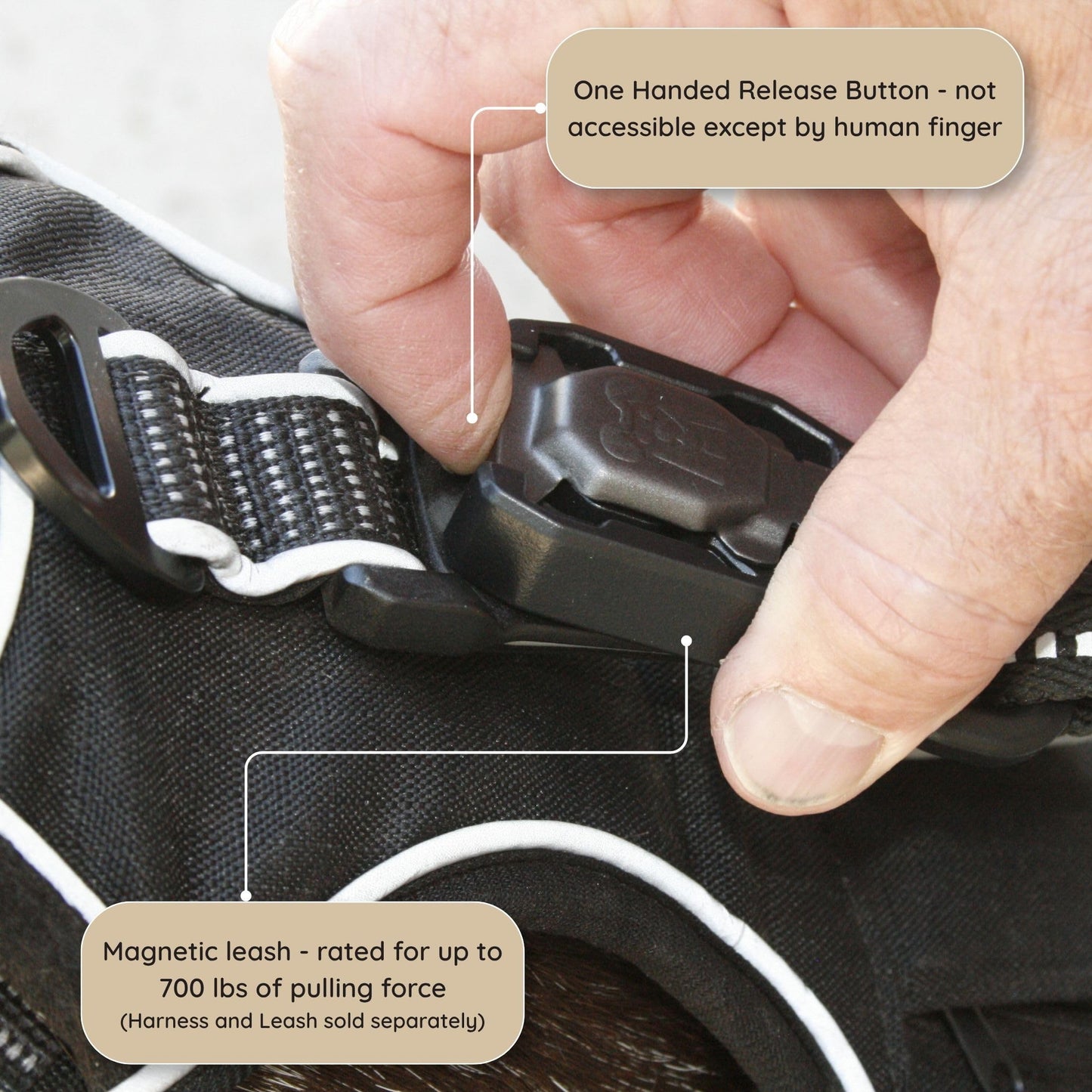 Adjustable Dog Harness with Reflective Safety Features