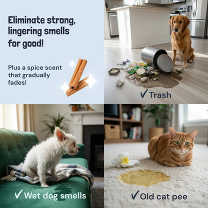 Sunny & Honey Pet Stain & Odor Remover