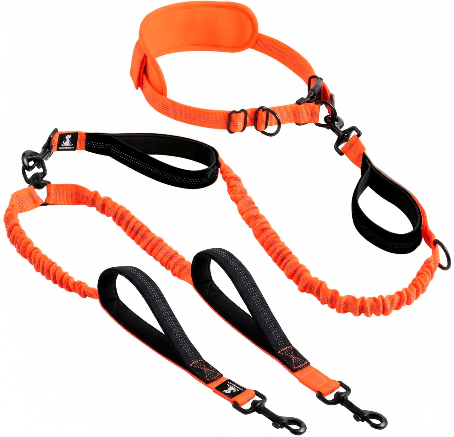 Reflective Dog Leash for Training & Outdoor Activities
