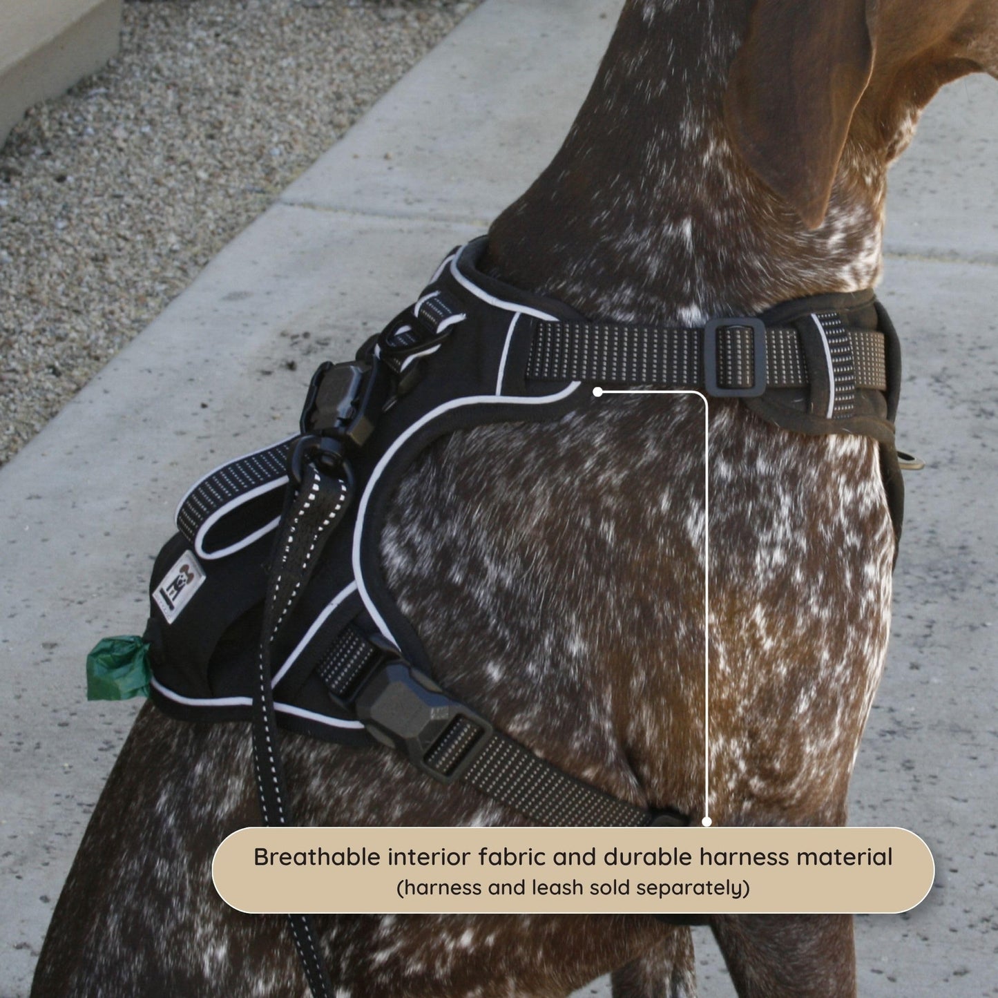 Adjustable Dog Harness with Reflective Safety Features