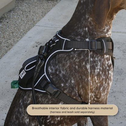 Adjustable Dog Harness with Reflective Safety Features