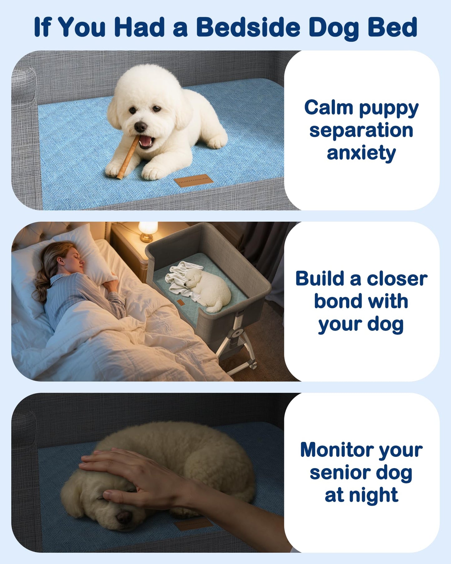 Adjustable Elevated Dog Bed for Small & Medium Dogs