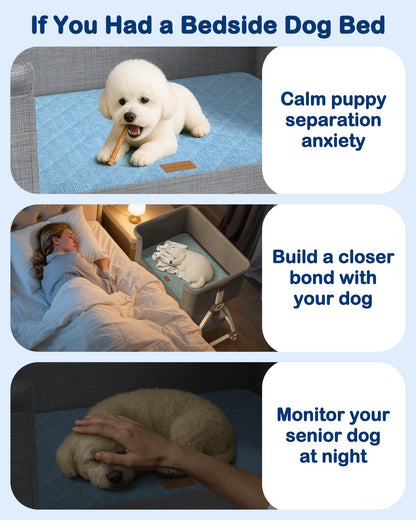 Adjustable Elevated Dog Bed for Small & Medium Dogs
