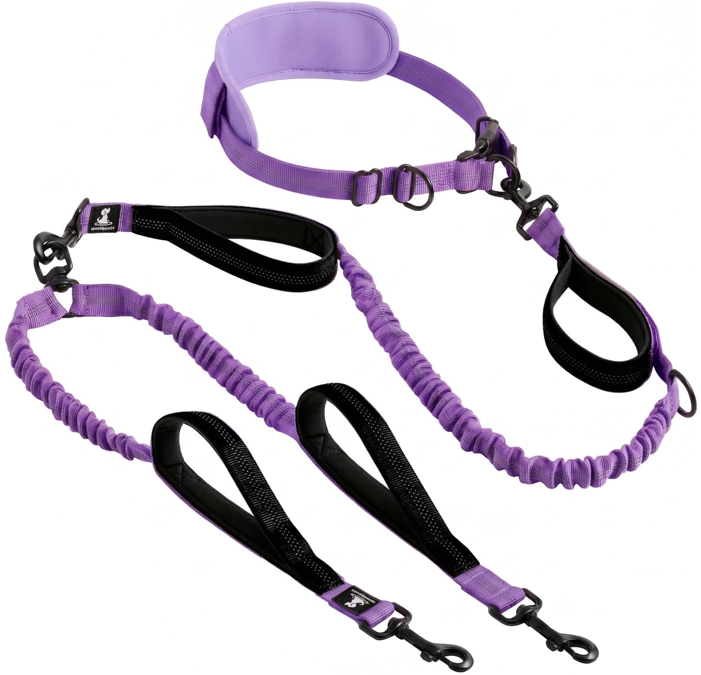 Reflective Dog Leash for Training & Outdoor Activities