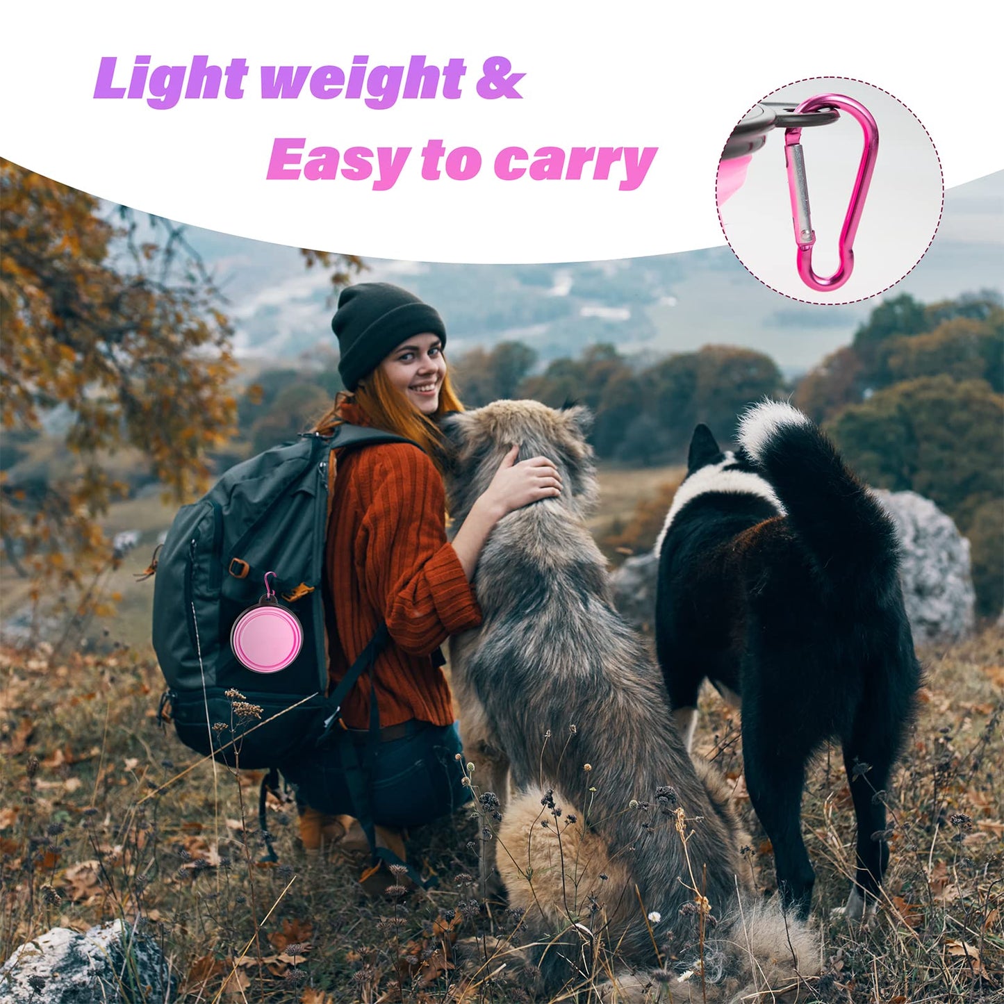 Collapsible Dog Bowls for Travel & Outdoor Use