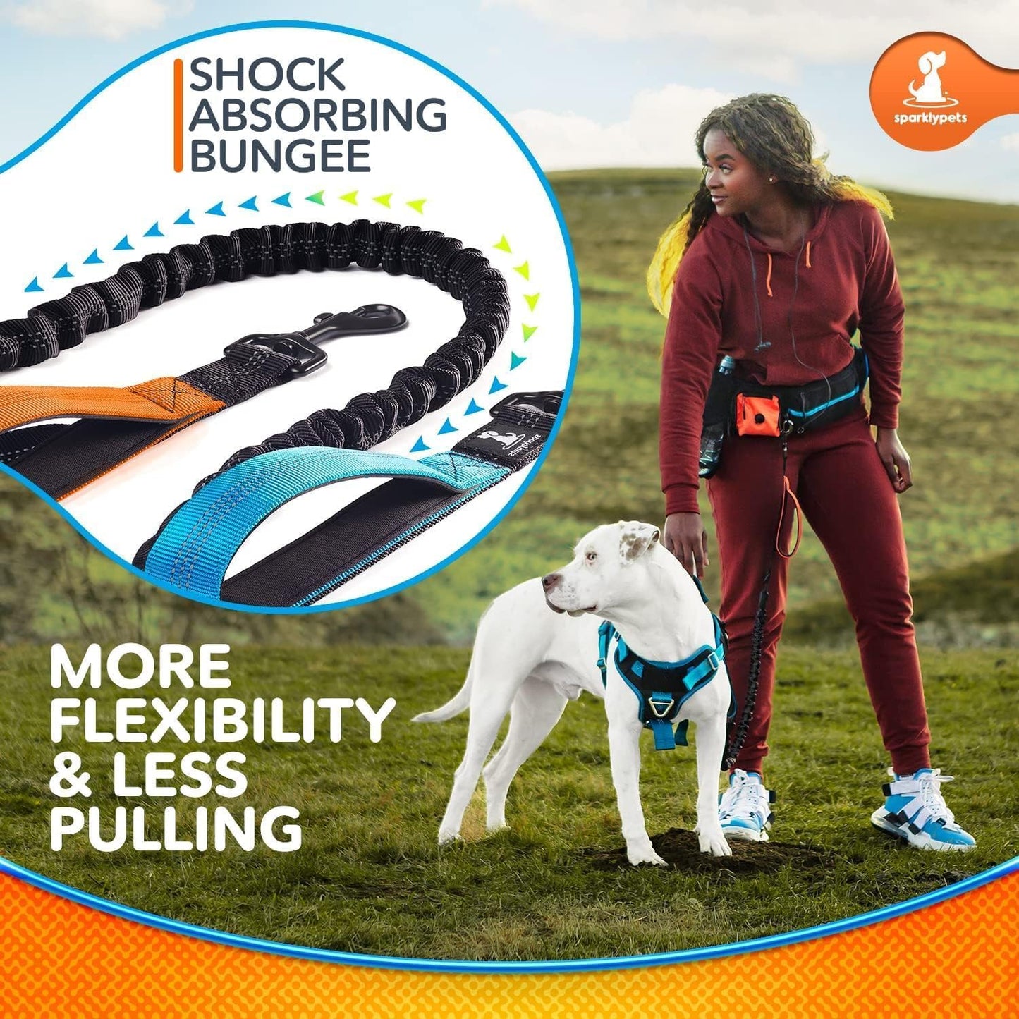 Reflective Dog Leash for Training & Outdoor Activities