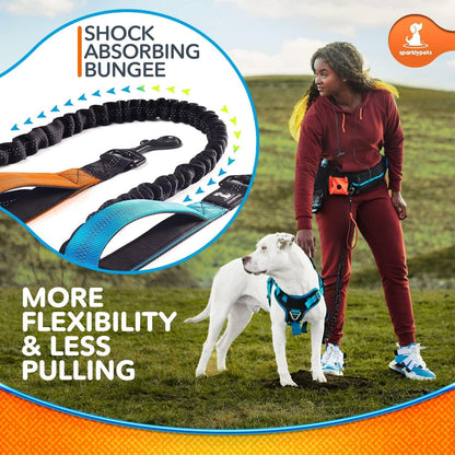 Reflective Dog Leash for Training & Outdoor Activities