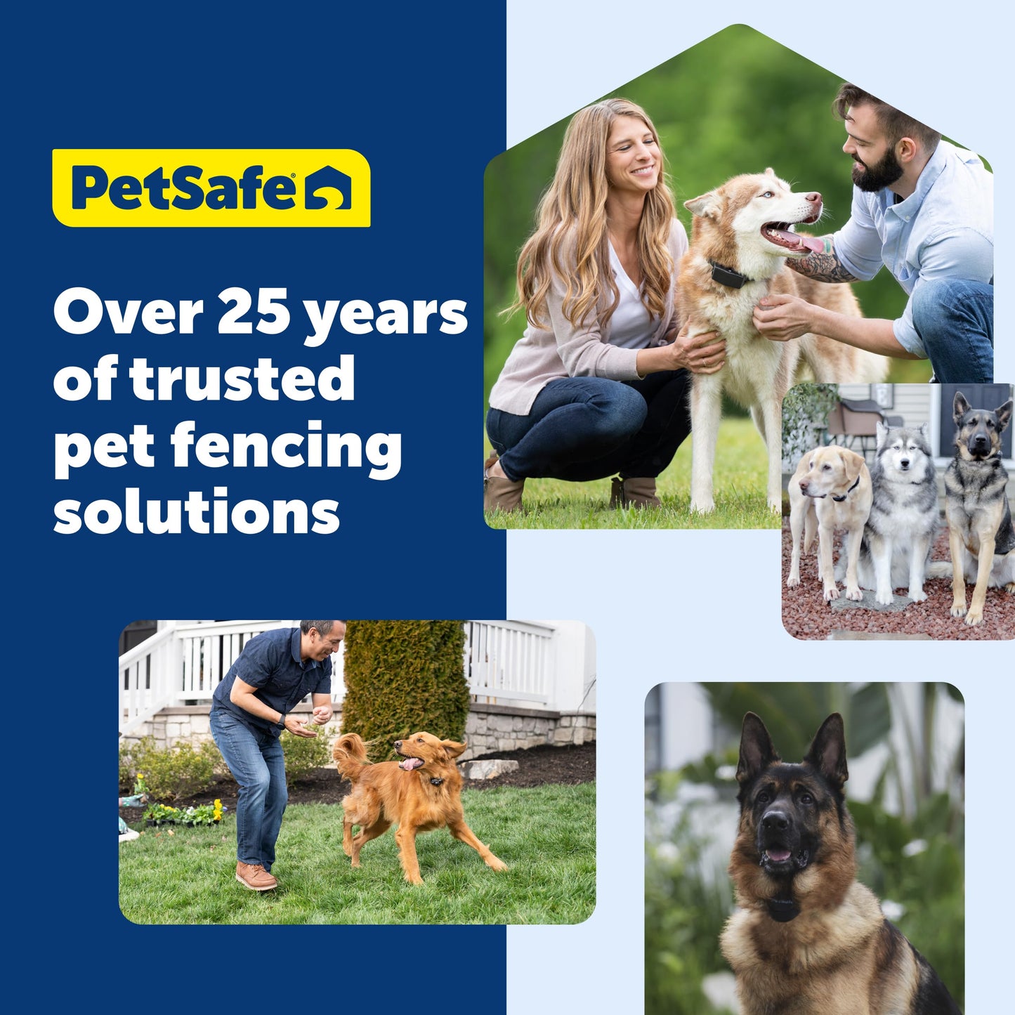 PetSafe Animal Collar