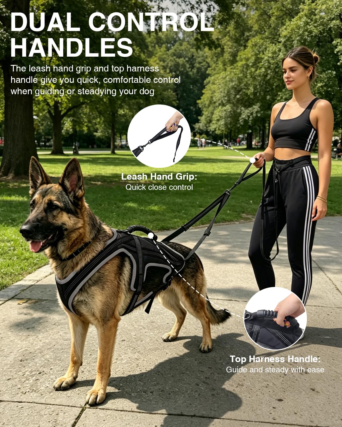 Dog Running Harness Set with Shock Absorbing Leash