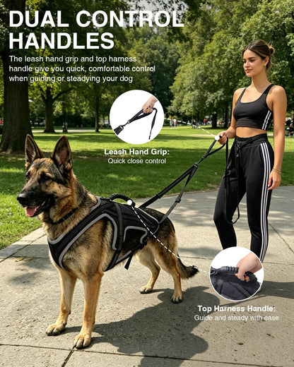 Dog Running Harness Set with Shock Absorbing Leash