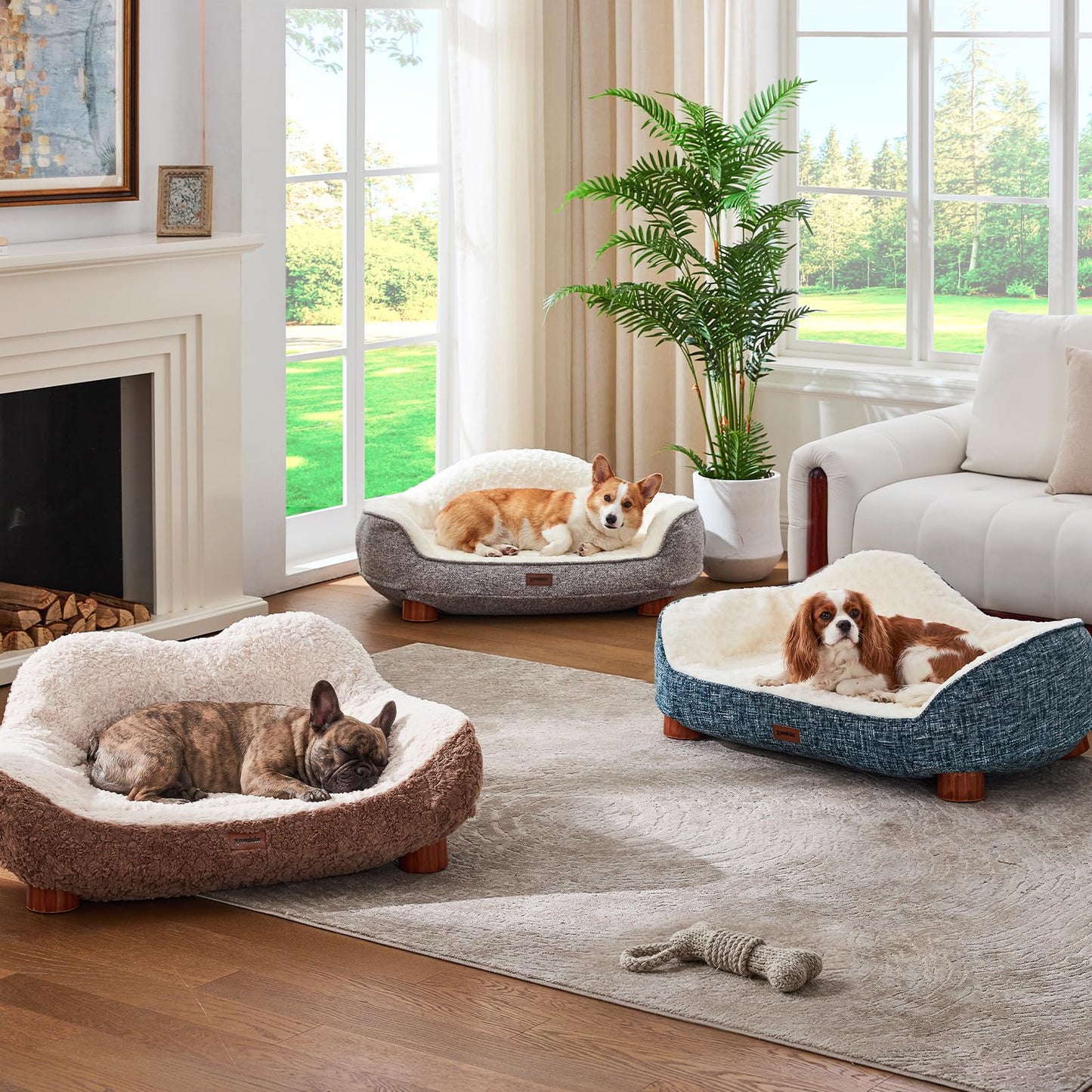 Modern Dog Sofa with Wooden Legs