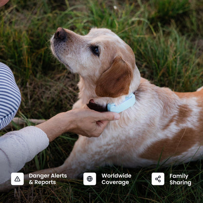 Tractive Smart Dog GPS Tracker | Live Pet Tracker with Virtual Fence | Vital Signs Monitoring of Heart & Respiratory Rate | Bark Monitoring | Dog Collar Attachment