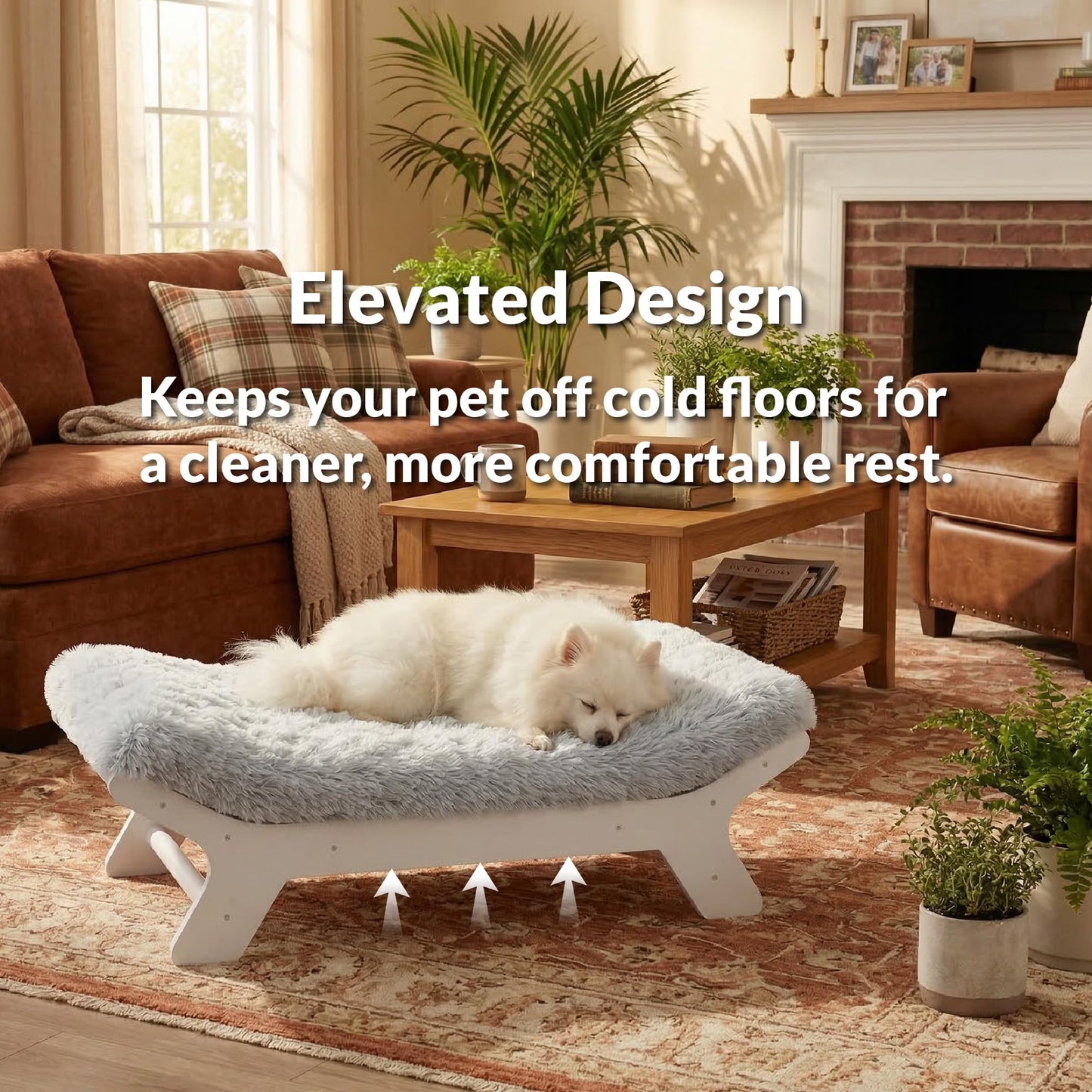 Muihood Elevated Wood Dog Bed Frame with Foam Mattress