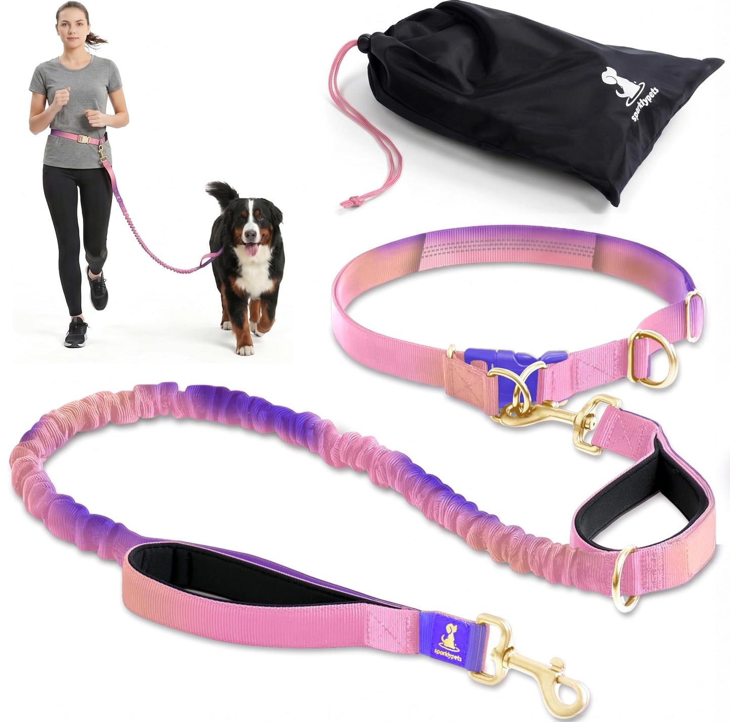 Reflective Dog Leash for Training & Outdoor Activities