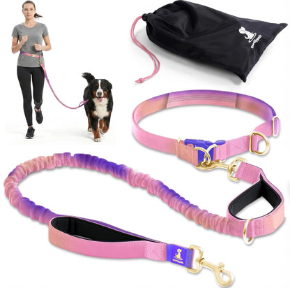 Reflective Dog Leash for Training & Outdoor Activities
